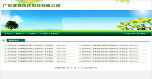 专业铸就卓越 广州网站建设与网页设计公司案例解析